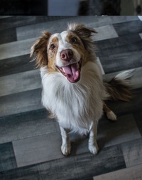 Sample photo 3 from ProNerd