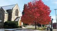 Outside View 7