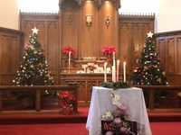 Sanctuary View 10