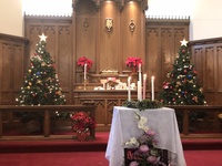 Sanctuary View 17